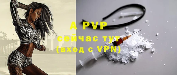 хмурый Пестово