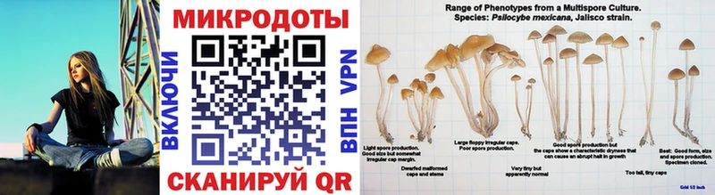 Псилоцибиновые грибы Magic Shrooms  даркнет сайт  Клинцы 